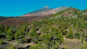 Blick auf den Teide Nationalpark.
