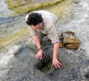 Giorgio A. Tsoukalos