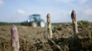 Wer im Fr&uuml;hjahr durch Brandenburg f&auml;hrt, sieht Landschaften unter Folie: Spargelfelder, so scheint es, sind nur im Anbau unter kilometerlangen Plastiktunneln wirtschaftlich. Der Film begleitet die Familie Scharkowski durch die Spargelsaison. Er will herausfinden, was hier anders l&auml;uft. - Erster Spargel ohne Folie.