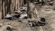 Greatest Events of WW2_Wendepunkte des Zweiten Weltkriegs Ep_10_Hiroshima GEWW2 HIROSHIMA Bodies in the streets of Japan following the bombingsGreatest Events of WW2_Wendepunkte des Zweiten Weltkriegs Ep_10_Hiroshima GEWW2 HIROSHIMA Bodies in the streets of Japan following the bombings