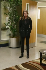 Nach alldem was geschehen ist, kehrt Meredith (Ellen Pompeo) ins Grey Sloan Memorial zur&uuml;ck, um den Kollegen zu sagen, dass Derek tot ist. Doch das ist leichter gesagt als getan ...