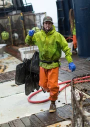 Greenhorn Per Nesselquist hustles with bait bags on the Brenna A.