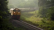 Mit der S&uuml;dbahn Thailands k&ouml;nnen Reisende quer durchs Land fahren; Gleise sind h&auml;ufig von Pflanzen &uuml;berwuchert.