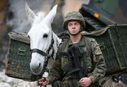Ein deutscher Gebirgsj&auml;ger mit seinem Maultier &ndash; Tiere, die im Krieg tragen, schn&uuml;ffeln, warnen, spionieren oder Trost geben.