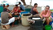 Vorbereitungen f&uuml;r den Fischfang, Puntarenas, Costa Rica.