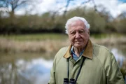Der britische Naturforscher und Tierfilmer Sir David Attenborough war 2020 entscheidend an der Gründung des "Earthshot Prize" beteiligt und ist neben Prinz William Presenter der Doku-Reihe. Der britische Naturforscher und Tierfilmer Sir David Attenborough war 2020 entscheidend an der Gründung des "Earthshot Prize" beteiligt und ist neben Prinz William Presenter der Doku-Reihe.