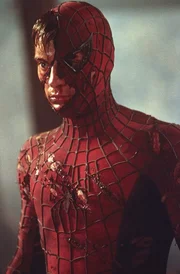 Von seinem Gegner wird Peter Parker alias Spider-Man (Tobey Maguire) &uuml;bel zugerichtet, doch so leicht l&auml;sst der sich nicht unterkriegen ...