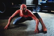 Als Spider-Man widmet Peter Parker (Tobey Maguire) sein Leben dem Kampf gegen das Verbrechen. Er ahnt nicht, dass sein schrecklichster Gegner direkt aus seinem Umfeld kommen wird ...
