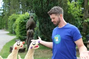 Der Vogeltrainer (Thore Sch&ouml;lermann) ist unschuldig.