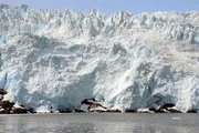 In Alaska kalben die Gletscher direkt ins Meer.