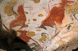 Darstellungen von Rindern und Pferden in Lascaux II.