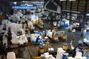 Bis zu 20 Millionen Euro setzten die H&auml;ndler in Tsukiji t&auml;glich um