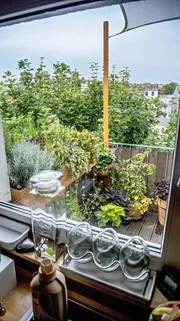 Der kleine Garten vor dem K&uuml;chenfenster.