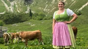 Alm-Idylle: Endlich durften heute die Rinder von Landwirtin Nina Bartl vom heimischen Gschwandtnerhof hinauf auf die Alm &uuml;ber dem Schliersee.