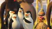 Alex, Marty, Gloria und Melman wollen nach Amerika zur&uuml;ck. Auch die vier Pinguine sind wieder mit von der Partie ...