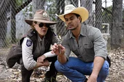 Detective Jay Swan (Mark Coles Smith) und Sergeant Simmo (Robyn Malcolm) finden heraus, dass ein Scharfsch&uuml;tze von einem weit entfernten Aussichtspunkt aus Cowboy get&ouml;tet haben k&ouml;nnte &ndash; wo sie tats&auml;chlich eine einzelne Patrone finden.
