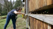 Mit den Bienen werden die Imker aktiv.