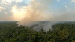 Feuer und Rauch geh&ouml;ren am Ende der Trockenzeit zum Amazonas wie  Sonnenschein.