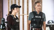 Vanessa Ferlito (Tammy Gregorio), Scott Bakula (Dwayne Pride)