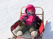 Carrie Agnes getting a ride from her mother to a mushing race.