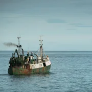 Der Fischtrawler wird zum Seelenverk&auml;ufer auf hoher See.