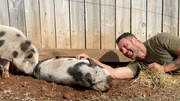 Lee Asher mit zwei Schweinen vor einem Holzzaun.