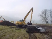 Bei den Bauarbeiten wurde darauf R&uuml;cksicht genommen, B&auml;ume wie die alten Pappeln nicht zu besch&auml;digen.