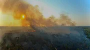 Auch wenn die Brand-Saison 2025 sp&auml;ter beginnt: Der Amazonas ist bedroht.