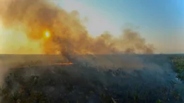 Auch wenn die Brand-Saison 2025 sp&auml;ter beginnt: Der Amazonas ist bedroht.
