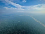 Der Amazonas ist die gr&uuml;ne Lunge der Welt.