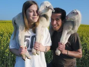 Willi Weitzel besucht in Hammelburg Wandersch&auml;fer Bonifaz und seine Familie. Mit der Tochter Carina f&uuml;ttert er zwei L&auml;mmchen.