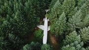 Ein Flugzeug vom Typ Boeing 727, das in einem Kiefernwald versteckt ist  +++