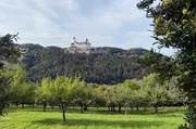 Burg Forchtenstein.