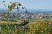 St. Margarethen im Burgenland.