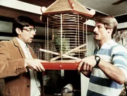 Die Detektive Murray (Thom Bray, li.) und Cody (Perry King) sollen den Papagei eines Klienten betreuen, der angeblich vom CIA verfolgt wird.