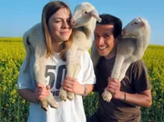 ARD/BR WILLI WILLS WISSEN, "Wer darf auf dem Rasen grasen?", am Samstag (23.04.11) um 10:03 Uhr im ERSTEN. Willi Weitzel besucht in Hammelburg Wandersch&auml;fer Bonifaz und seine Familie. Mit der Tochter Carina f&uuml;ttert er zwei L&auml;mmchen. Weitere Bilder finden Sie unter www.br-foto.de.