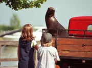 Moritz (Karl-Alexander Seidel) und Nele (Anja St&uuml;hrk) schlie&szlig;en Robbe William sofort in ihr Herz.