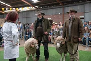 Sam Neill (as Colin), Michael Caton (as Les), Miranda Richardson (as Kat), Wayne Blair (as Lionel), Travis McMahon (as Fergo), Haley McElhinney (as May), Kipan Rothbury (as Frenchie), Asher Keddie (as Angela) and Asher Yaskbincek (as Sally), RAMS - Photograph by David Dare Parker