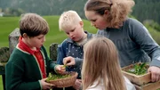 Kinder sammeln Blumen und Kr&auml;uter f&uuml;rs Ostereier f&auml;rben.