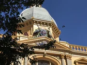 Das Rote Riesenk&auml;nguru und der Emu sind die Wappentiere Australiens.