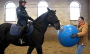 Im Training konfrontiert "PUR+"-Moderator Eric Mayer das Polizeipferd in Ausbildung Vamos mit einem gro&szlig;en Ball.