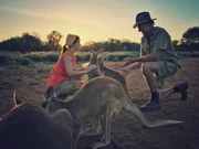 Tags&uuml;ber d&ouml;sen sie, deshalb werden die K&auml;ngurus ganz fr&uuml;h am Morgen gef&uuml;ttert.