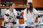 Der Universit&auml;tspr&auml;sident zwingt Sheldon, endlich seinen Urlaub zu nehmen. Sheldon ist fassungslos, da er ohne Arbeit nichts mit sich anzufangen wei&szlig; und beschlie&szlig;t, bei Amy im Labor auszuhelfen ...