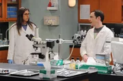 Als Sheldon dazu gezwungen wird, Urlaub zu machen, beschlie&szlig;t er, zusammen mit Amy in ihrem Labor zu arbeiten.
