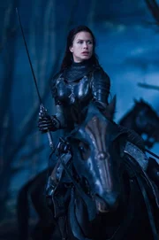 Die sch&ouml;ne und kriegerische Vampirin Sonja (Rhona Mitra) versucht heimlich die Rebellion der Werw&ouml;lfe zu unterst&uuml;tzen ...