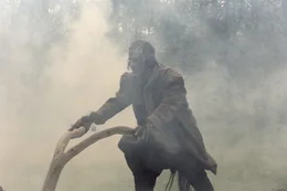 Der Teufel pfl&uuml;gt den Spreewald