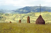 Landschaft &ouml;stlich von Satu Mare.