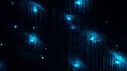Was hier an der H&ouml;hlendecke leuchtet, ist keine Lampe, sondern biolumineszierende M&uuml;ckenlarven.