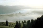 Nebel am Prisloppa&szlig;, Maramuresch.