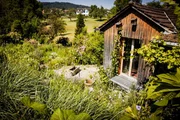Hinter den Hecken - Folge 6 Garten ohne Grenzen in Kaltenbach TG 2020